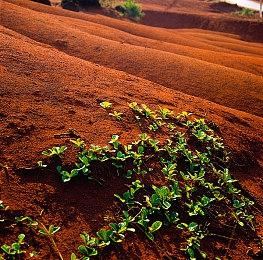 外媒喊话《上古卷轴6》控制下野心 别像《星空》眼高手低
